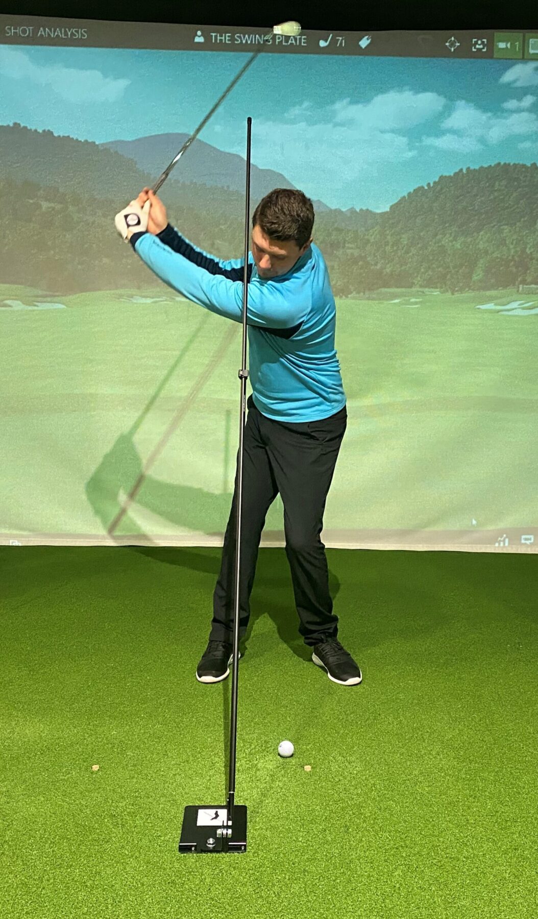 Swing Plate with Extension Pole The Swing Plate